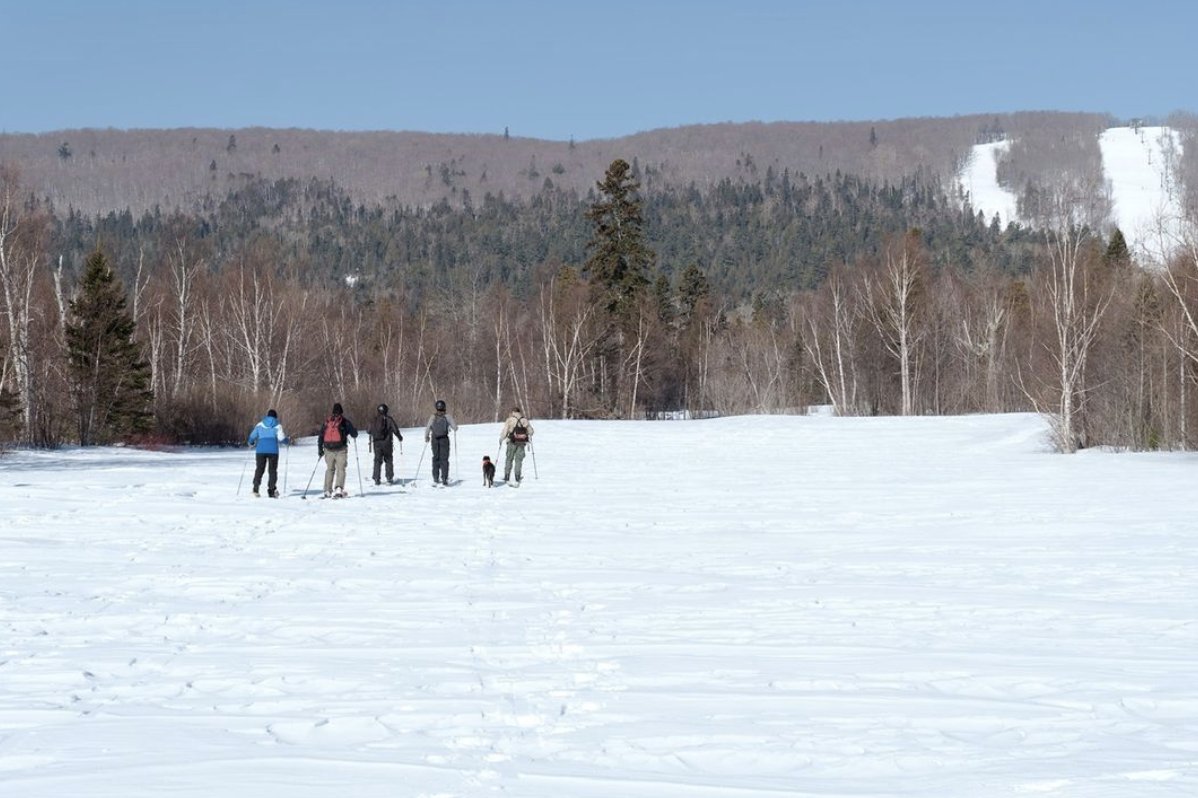 winterwildlands's tweet photo. ⚡ACTION UPDATE⚡ @forestservice plans to make a decision about the Lutsen Ski Area Expansion on #SuperiorNationalForest in late May and say input from local tribes will play an important role. Via @WTIPradio: https://t.co/7nxNdooLn7.
#SaveMooseMountain #KeepWinterWild https://t.co/Jh1rzrGBwX
