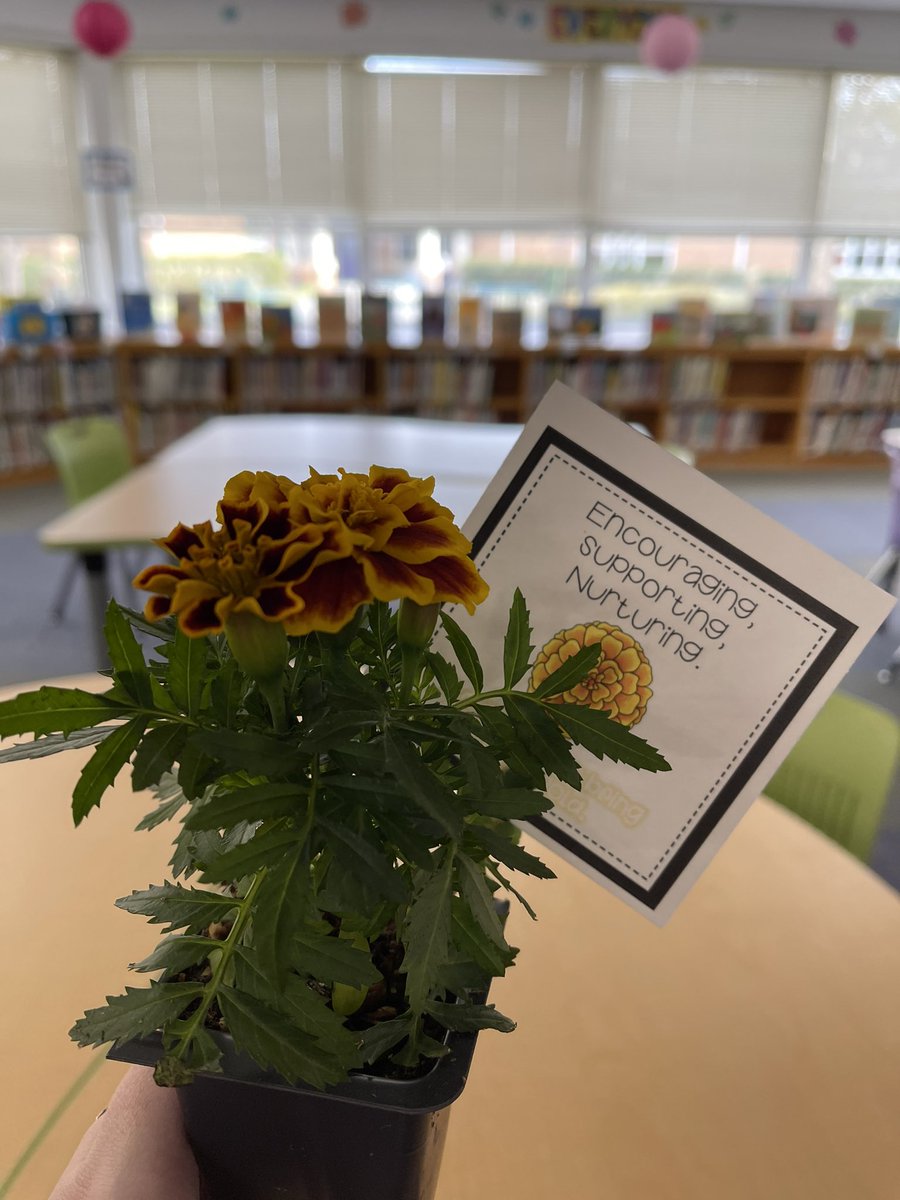 Thanks for recognizing us during #SchooLibraryMonth & thanks for all you do for our libraries Kelly & Dr. Shewbridge! 💛🌼 @vblms @vbschools @DrShewbridge #vblms