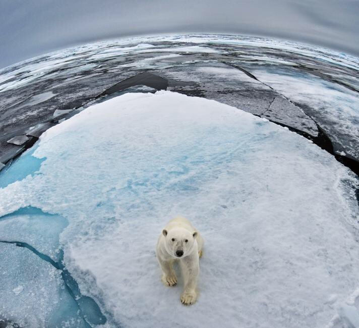 HarunanySumaiya's tweet photo. We are on a fast track to #climatedisaster Major cities under water,  Unprecedented heatwaves,Terrifying storms,Widespread water shortages,extinction of millions of species of plants and animals! A rapid boost in #ClimateAction is needed to stay within 1.5 of warming!#IPCCReport https://t.co/StT1jGJ3CY