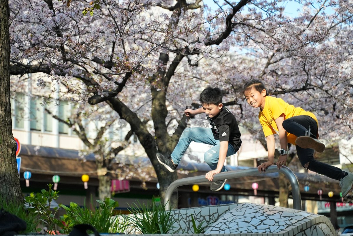 tkafumi's tweet photo. パルクールキッズ達とお花見してきた🌸 https://t.co/gZvRW2dqym