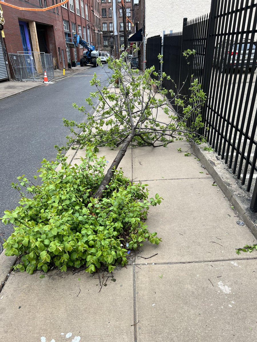 PHLSafeStreets tweet media