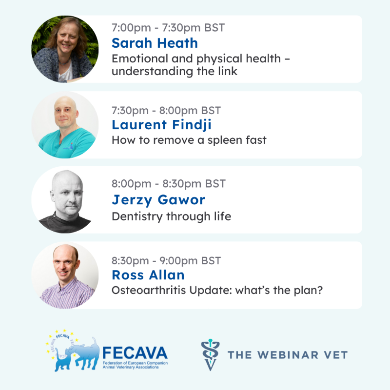 thewebinarvet's tweet photo. There's just 3 days left until we host the Vets for Ukraine Online Conference, with thanks to @FecavaVets.
Have you seen the event programme yet? Enjoy 10+ hours of CPD/CE lectures on a variety of #veterinary topics delivered by experts!
Sign up & donate 👇 #VetsForUkraine