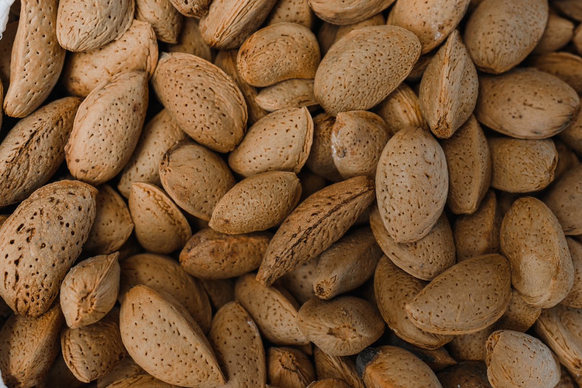 FERNnews's tweet photo. A shift to diets that emphasize plant-based foods such as beans, nuts, fruits, and vegetables could result in a “substantial reduction” in greenhouse gas emissions while also reducing the toll of non-communicable diseases. https://t.co/5VpogSXP00