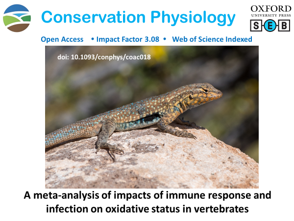 conphysjournal's tweet photo. New in #ConPhys!

A meta-analysis of impacts of immune response and infection on oxidative status in vertebrates

Read more here: https://t.co/tKkHDD7clm

#disease #wildlife #ecoimmunology #inflammation #antioxidant https://t.co/1ebcHyfSP6