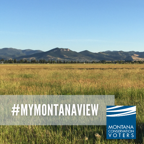 MTConservationVoters tweet media