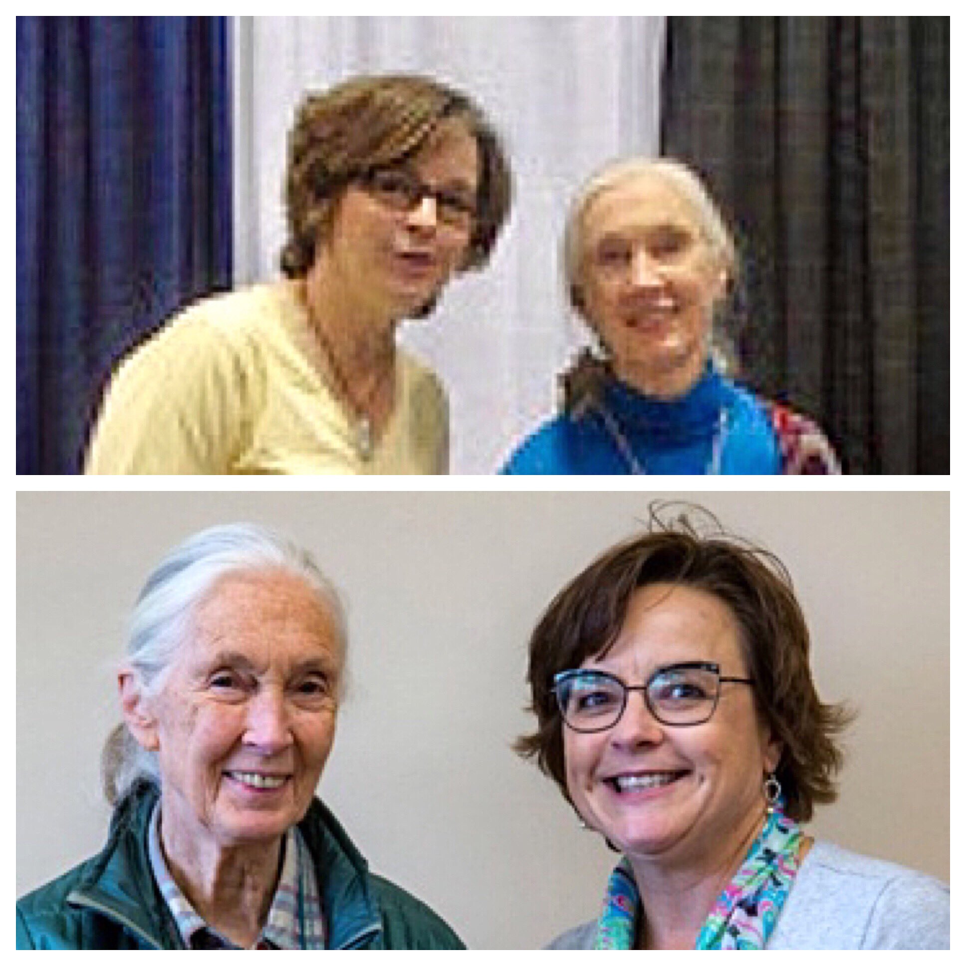 Happy belated birthday to Jane Goodall! 