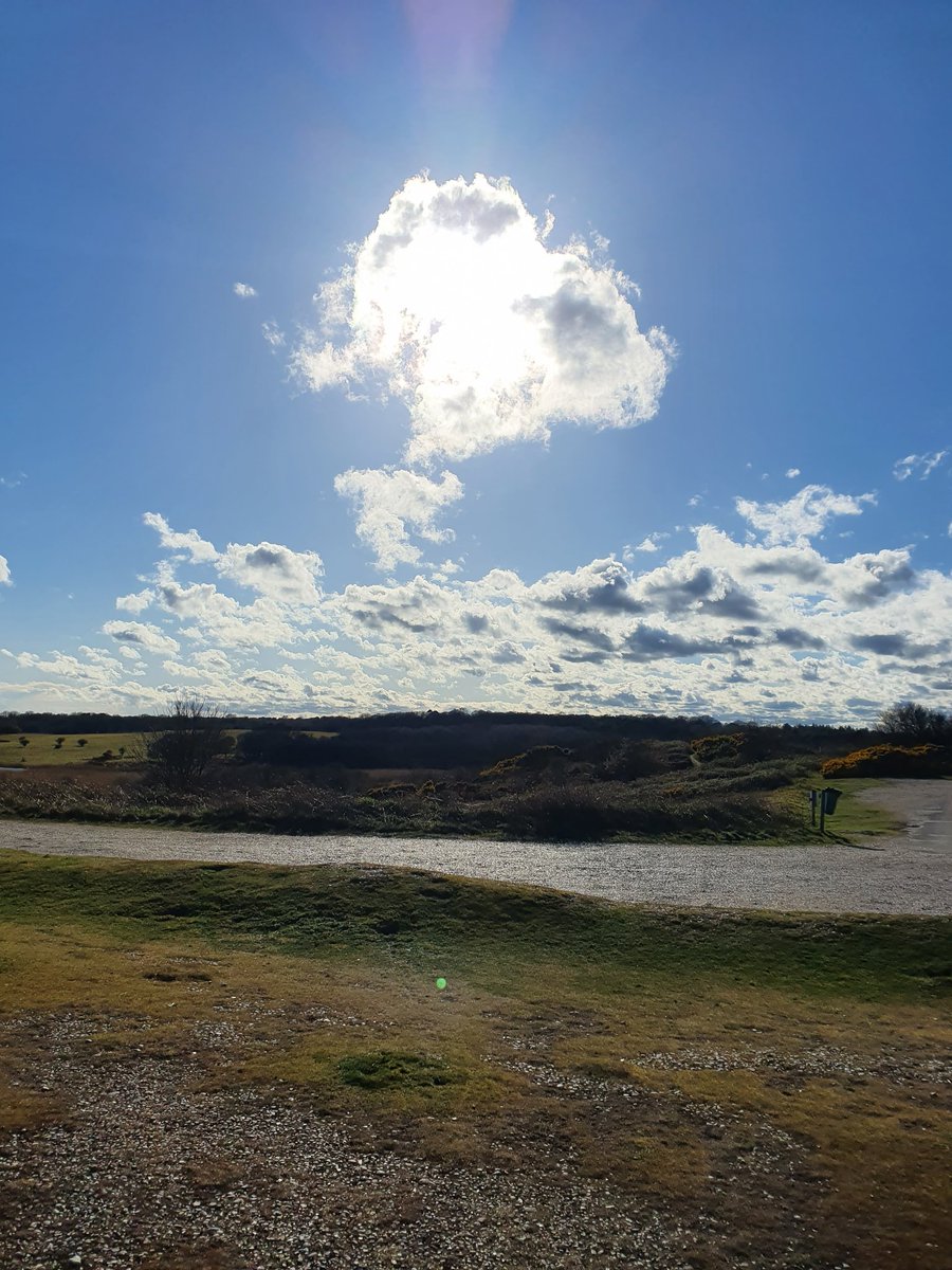 Top Day Events tweet media