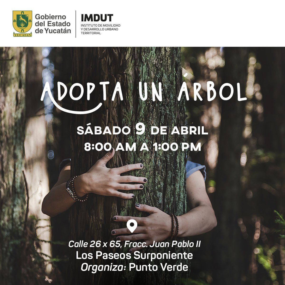 ImdutYucatan's tweet photo. 🌳 ADOPTA UN ÁRBOL 🌳

Te esperamos en el evento que se llevará acabo en #LosPaseos el día SÁBADO 9 DE ABRIL a las 08:00 a.m.

¡Cuidemos juntos del medio ambiente! https://t.co/yyGCGZHy34