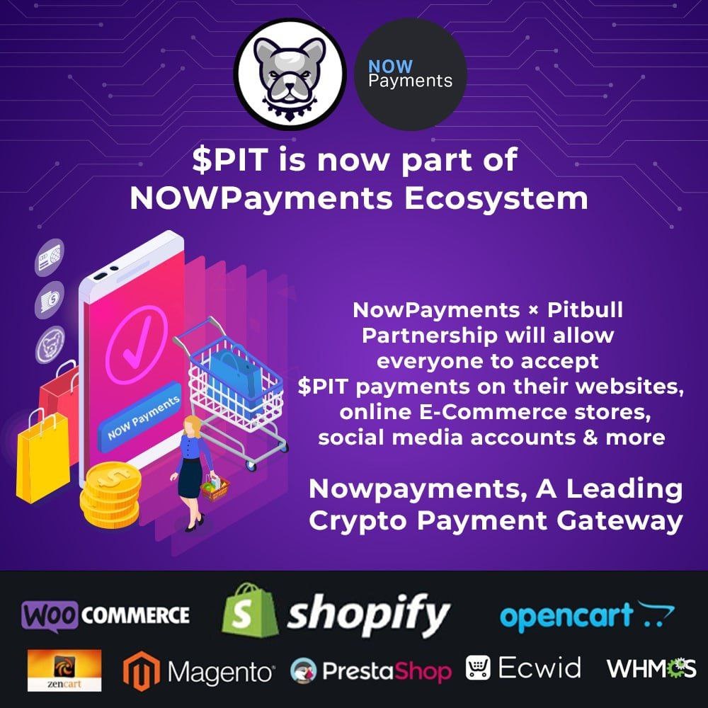BscPitbull's tweet photo. A #Pitbullish Step for a global reach🌎

#NowPayments🤝#Pitbull Partnership

$PIT is now part of https://t.co/buL7QyIXDC as crypto payment via:

API, E-commerce plugins, Invoices Donations, Mass payouts for online stores &amp; more

@NOWPayments_io, A Leading #Crypto Payment Gateway! https://t.co/Gp0MFPOYlK