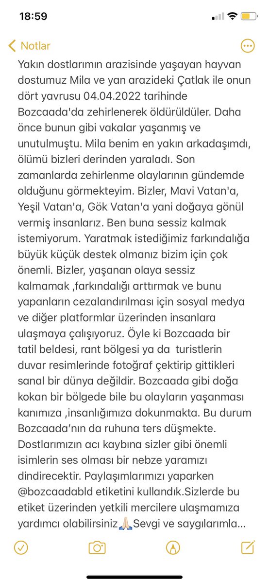 zeynepozyerr's tweet photo. #Bozcaada @bozcaadabld #haytap @rengin1964 @cemgurdeniznet @MMOZBEY @AvarBanu https://t.co/jMDlFQqMCb