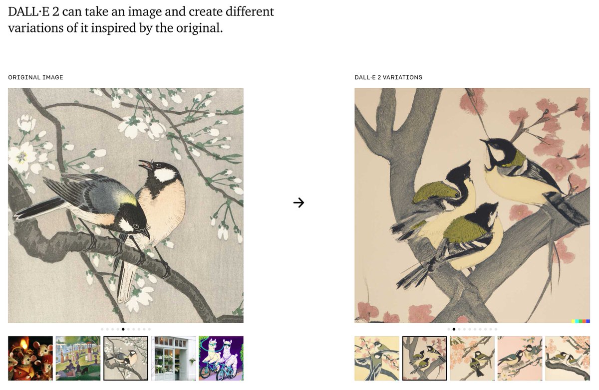 RJ Palmer tweet media