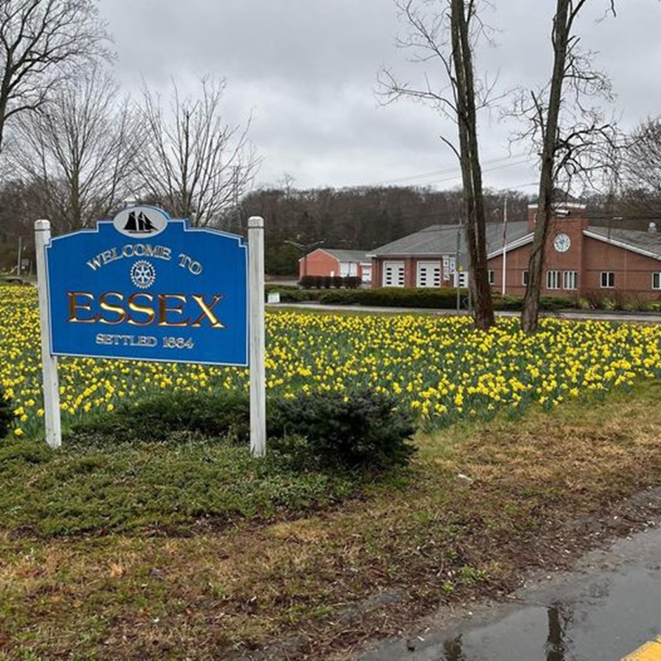 Here’s the start and finish for Angel Ride 2022! Daffodils are blooming so it’s time to register! 64 miles, 33 miles, 3-mile Little Angel Ride, Volunteer - we need you!!!!! #ctburnscare #AngelRide AngelRide.org