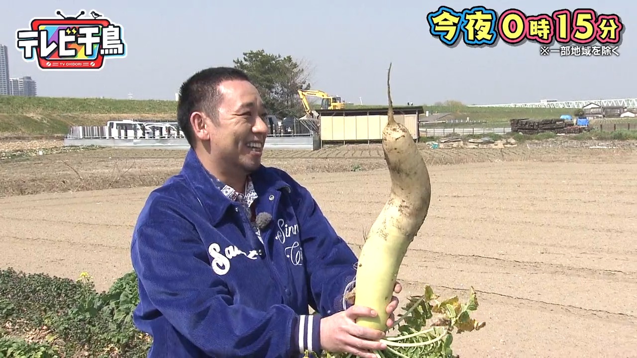 テレビ千鳥（テレビ朝日公式） on X: 🐤今夜のテレビ千鳥は ／ 移動後初回の企画は🚚 エッチな野菜とりたいんじゃ‼️ ＼  ノブの欲求不満を解消するべく 大根畑へ💨 エッチな形の野菜を抜きまくる‼️ 🐣47(木)深夜0:15～※一部地域除く #アメトーーク  から続けてみてね ...