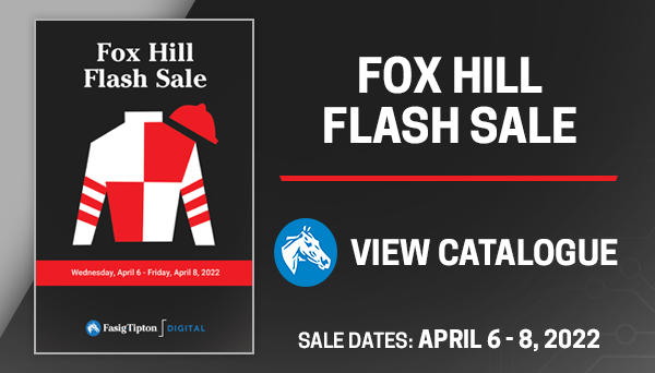 💥 Bidding is OPEN for the Fox Hill Flash Sale!

Don't miss your chance to bid on SWEET TEA, a winning daughter of INTO MISCHIEF from a blacktype family!

Learn more 👉 fasigtipton.co/3unKAeB
Bid now 👉 digital.fasigtipton.com

#FasigDigital <a href="/Fox_Hill_Farm/">Fox Hill Farm</a> <a href="/TaylorMadeSales/">Taylor Made Farm</a>