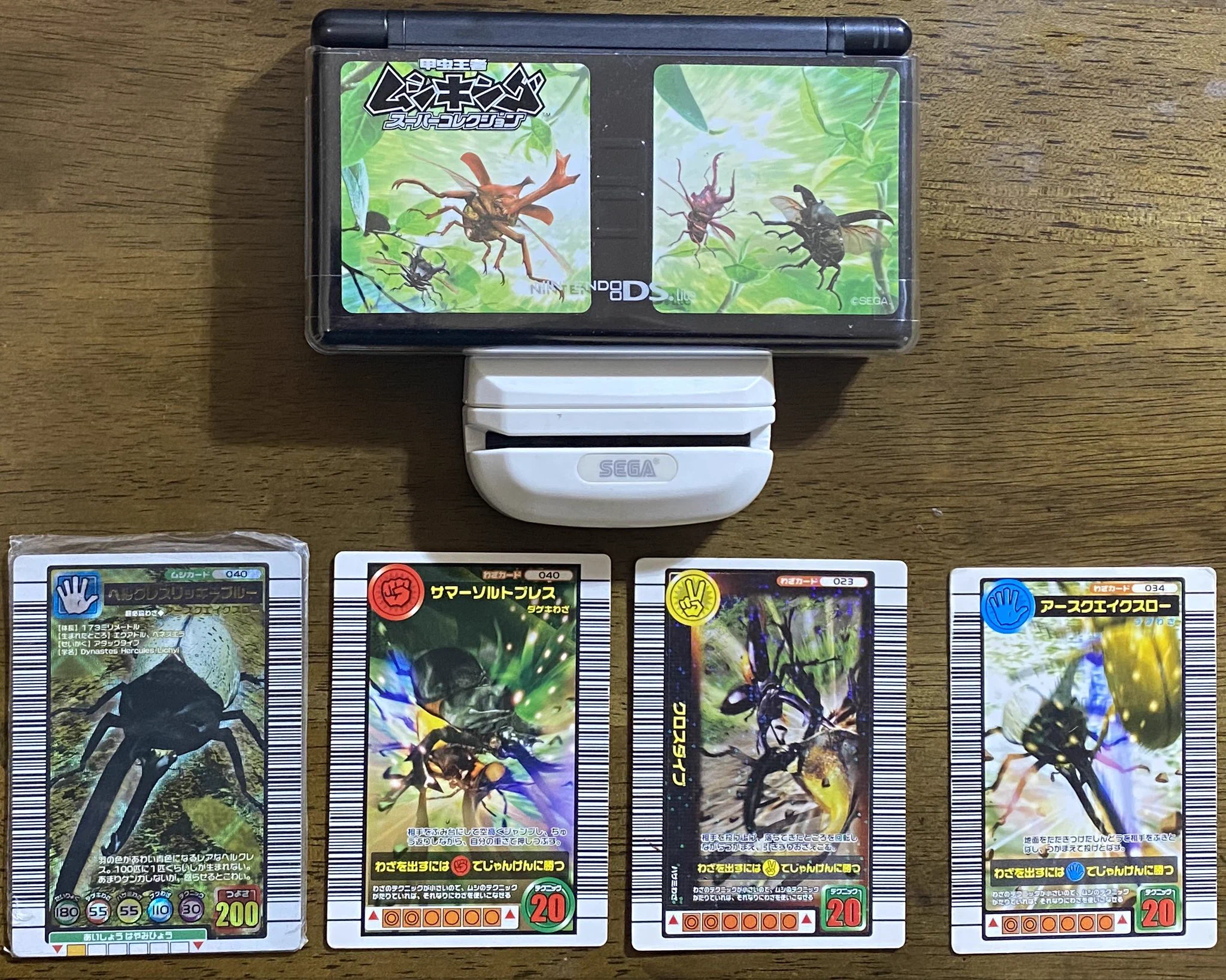 @toarutoa DS Lightがドンピシャです！
今でもDS Lightを大切にしてムシキングを楽しんでいます！ 