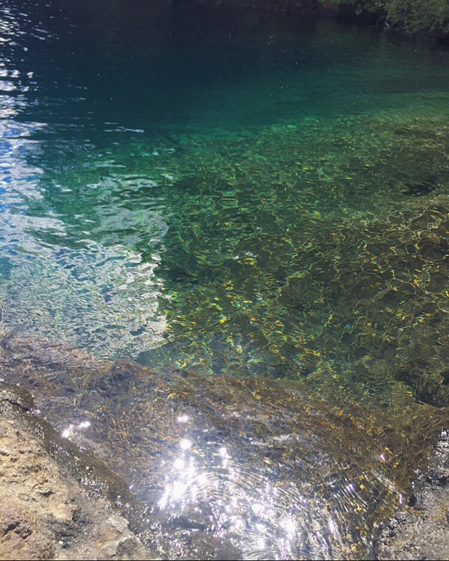 Jimi Jaxon tweet media