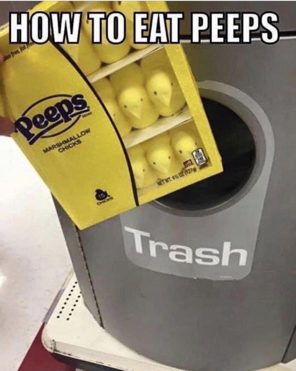 Terra Boon tweet media