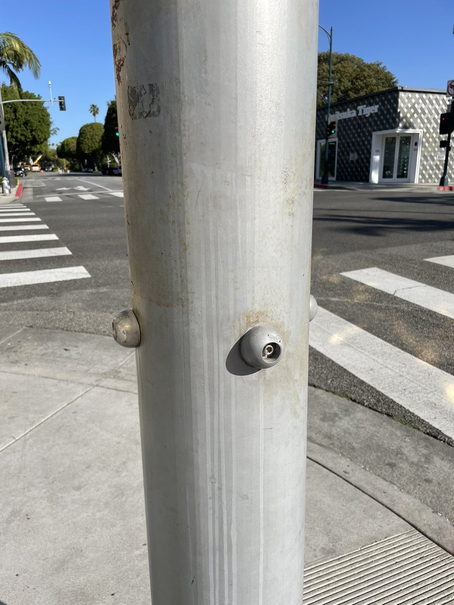 Alissa Walker tweet media