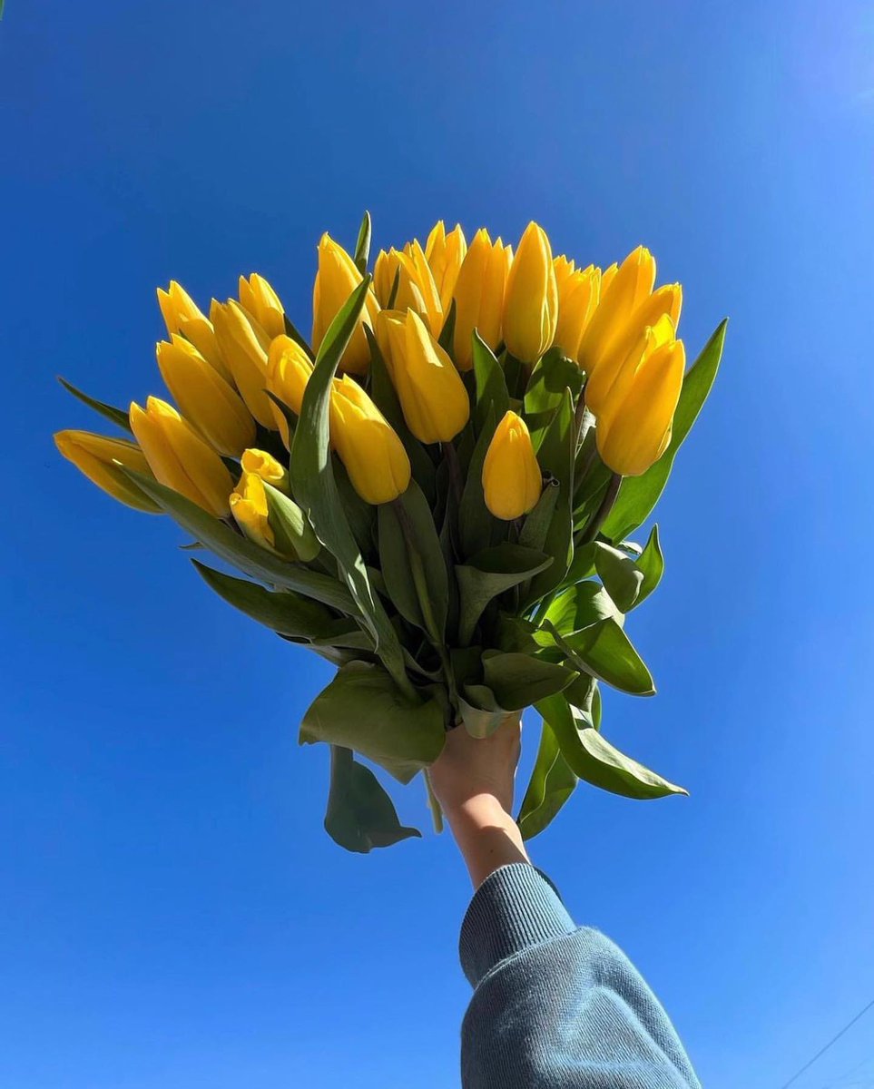 minimalism (@youminimalism) on Twitter photo 