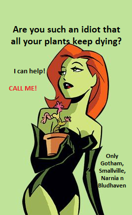 LoleraAncestral's tweet photo. Ok, it's not a secret I'm trying to get away from this "villain" imagen aaand money is running low, so please look at my business card and shared it. Plz. #PoisonIvy #jobhunt #garden #Gotham https://t.co/y9mZt6u6wC