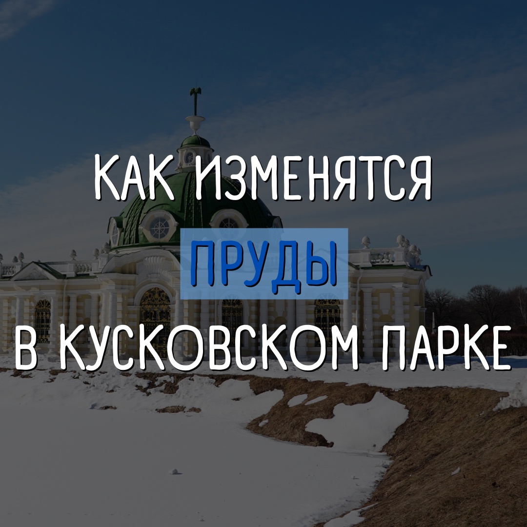 Мы уже не первый раз с вами обсуждаем реабилитацию Кусковского парка, но ещё не разговаривали про пруды. Их тоже приведут в порядок по программе "Мой район": mskagency.ru/materials/3201….
 
Работы будут вестись в... hooppy.ru/shared?pid=430…
