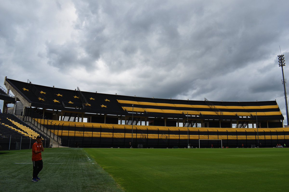 enfoque2903's tweet photo. 💛🖤 

•
#Nikon #D3500 #reflex #fotografía #Cámara #photography #contentcreator #nature #NikonNoFilter #nikonphotographers  #summer #wildlifephotography #verano2022 #uruguay #discoverearth #cámara  #camera #paisajes #peñarol #estadio #futbol #campeondelsiglo #oficial #cap https://t.co/OLiPt9lfDK