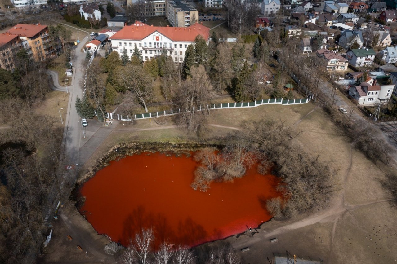 Mikhail Khodorkovsky (English) on Twitter: "The lake in front of the Russian  embassy in Lithuania If you are worried, so the colourant is safe  https://t.co/OF0waHNTge" / Twitter