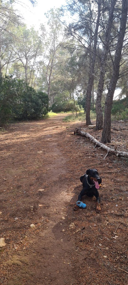 Fresh air > everything else.