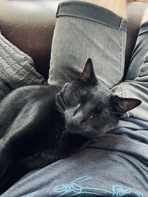 nice to be home https://t.co/Hl5IGy67Zl