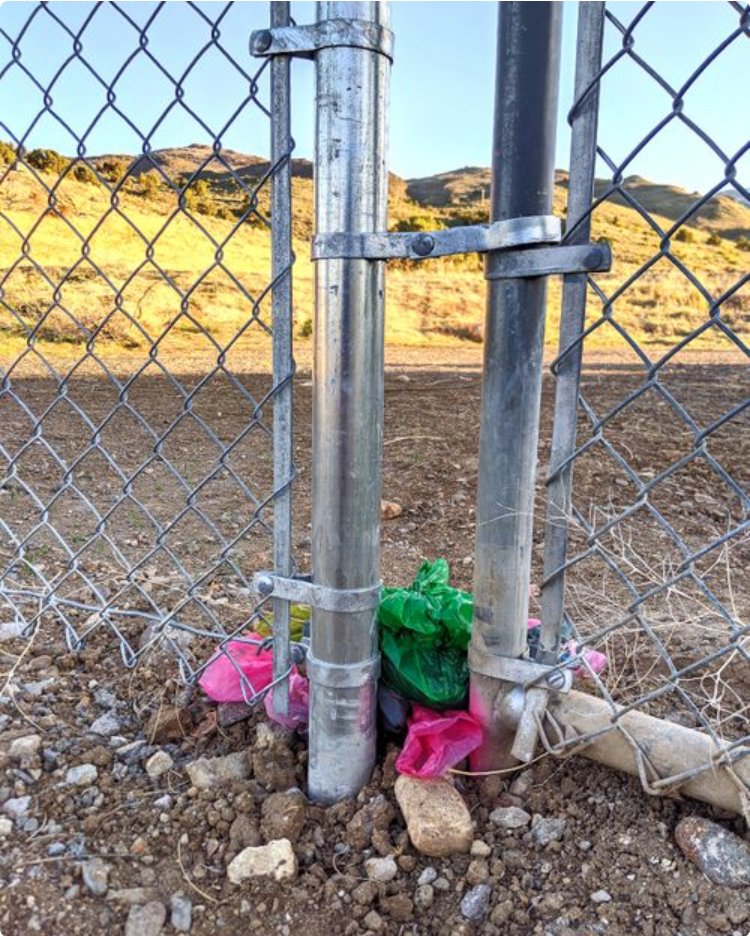 leavenotrace's tweet photo. Dog poop bags can multiply. Once one is left behind, it encourages others to do the same, and before you know it they pile up. It might seem harmless to leave it to pick up later, but it is easy to forget and may start a trend. Instead, let's take that poop to go! https://t.co/7heldcdWP7