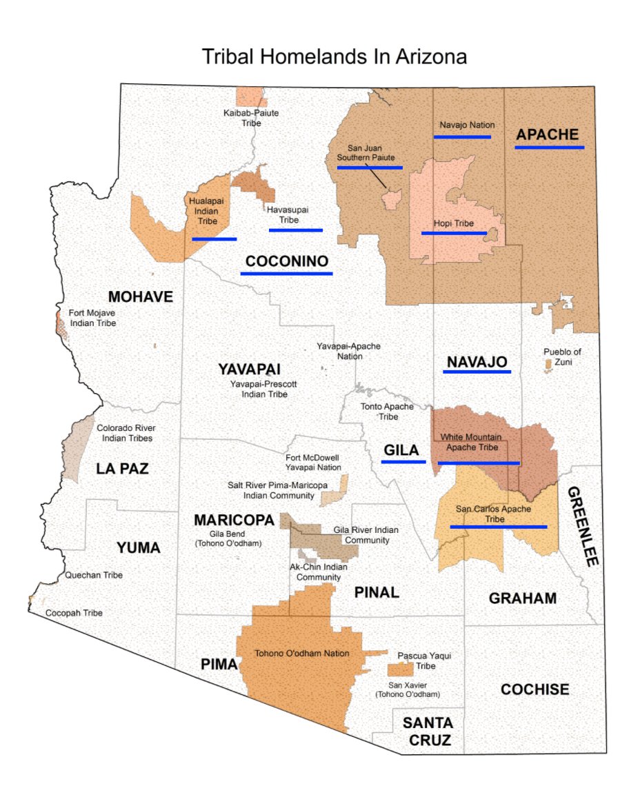 AZNativeDems's tweet photo. Facts tho: Arizona is home to the most Native-populated districts in the U.S.

Investing in our communities–early &amp; often–is a smart move.

We know the gaps in reaching our voters, that's why we organize year round &amp; do what we can to overcome the obstacles we face. #nativevote https://t.co/evTMcV0w8y