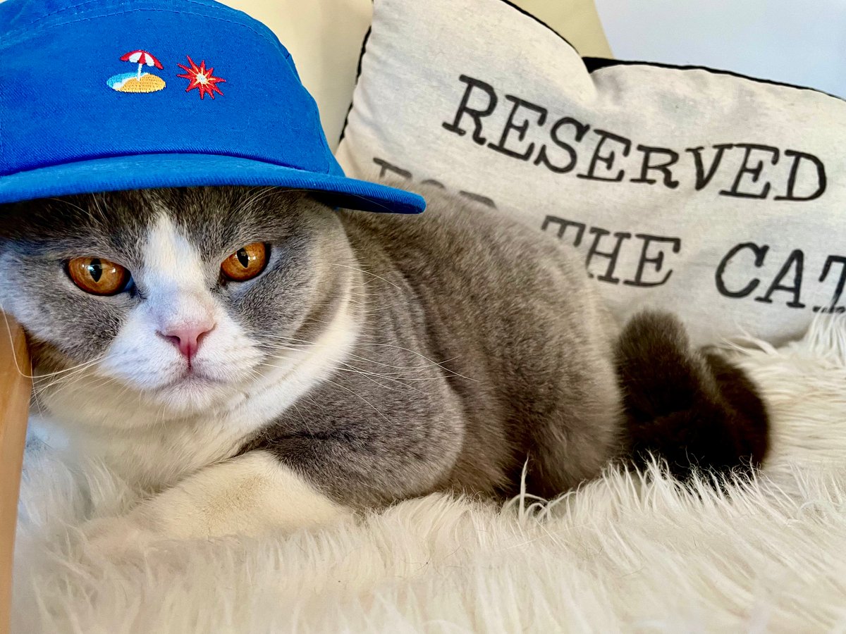 austriandentist's tweet photo. WATCH OUT GUYS!

someone trying to steal your girl.

thx, for my blue cap @InvsbleFriends 🏖️💥

@RNDMCHARACTERS @garbagefriends  @MotionMarkus https://t.co/eX3Cagholm
