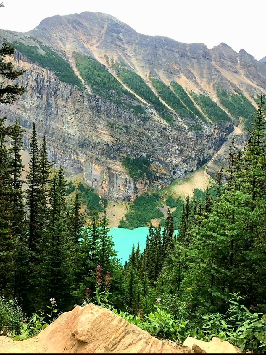 coastpac2's tweet photo. #nature #NaturePhotography #NatureBeauty #colors #bannf #Canada #colors #glacial #water #photo #photography https://t.co/VgKAuJeruu