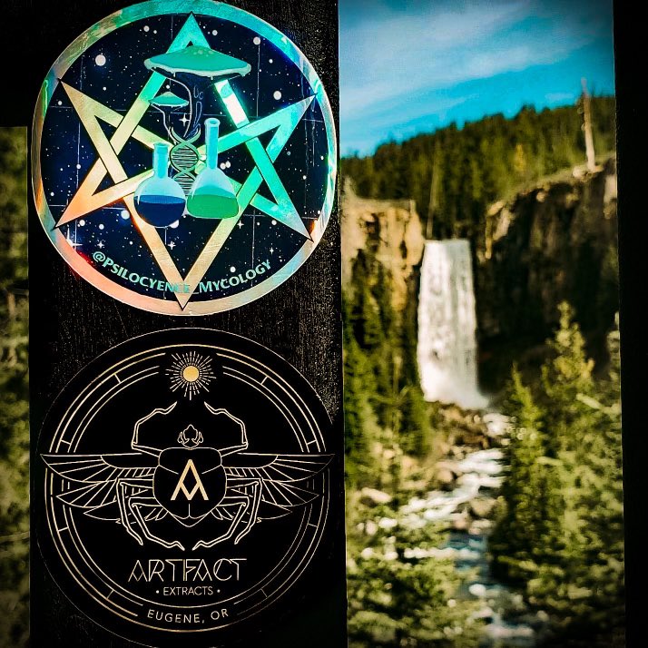 Artifact Extracts tweet media