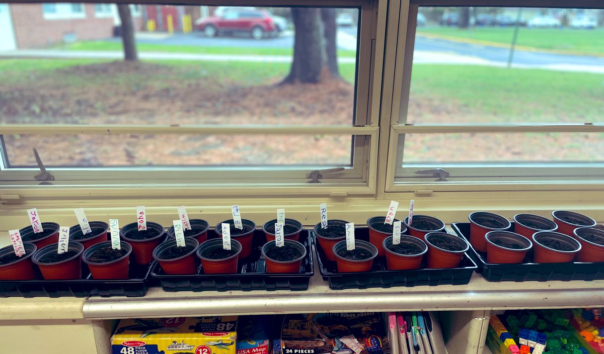 CusterC36's tweet photo. April showers bring May flowers! 🌺 @BayviewESchool @BayviewParents @MiddletownEA https://t.co/qnEVT1LoyT