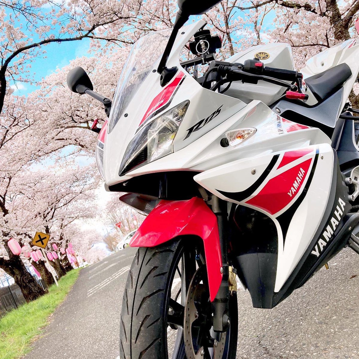 da_0819's tweet photo. 先週サクラを見に行きました！
#yzfr125#YAMAHA https://t.co/J33mUsvkGn