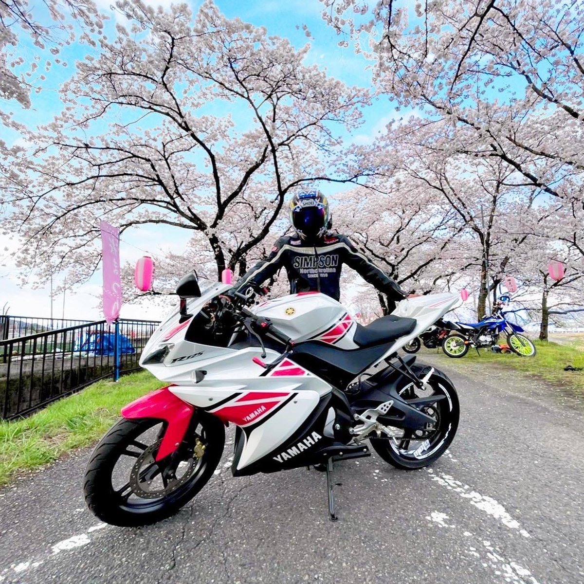da_0819's tweet photo. 先週サクラを見に行きました！
#yzfr125#YAMAHA https://t.co/J33mUsvkGn