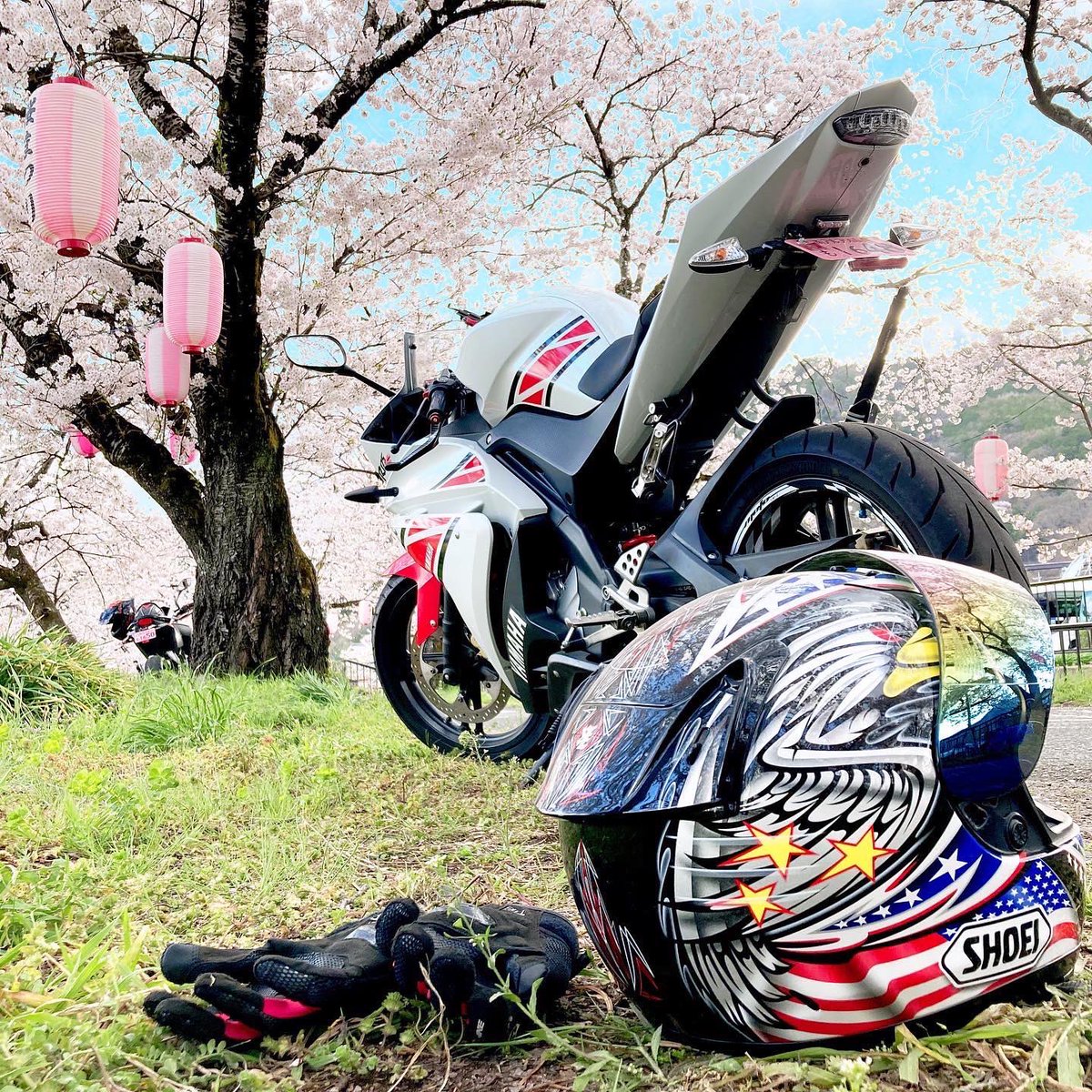 da_0819's tweet photo. 先週サクラを見に行きました！
#yzfr125#YAMAHA https://t.co/J33mUsvkGn