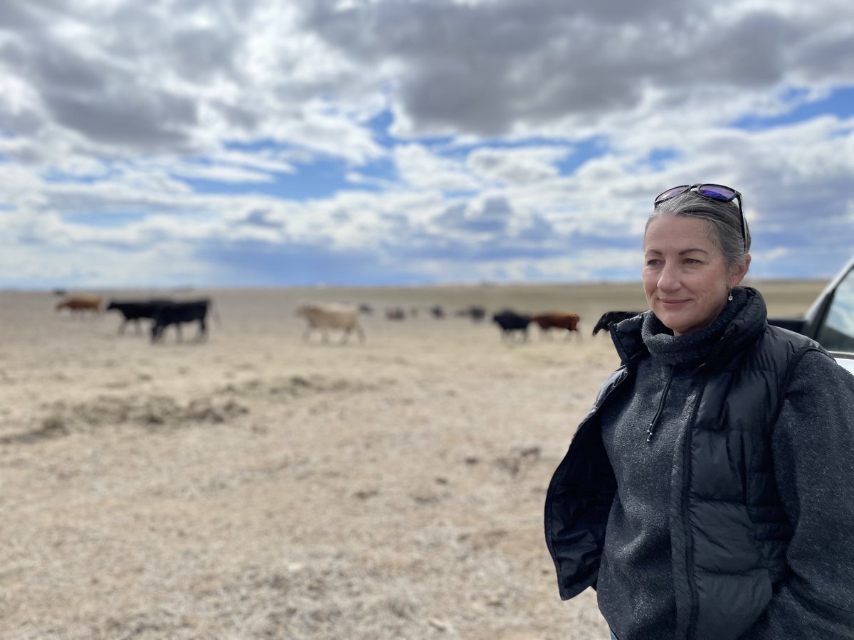 Kirk Siegler tweet media