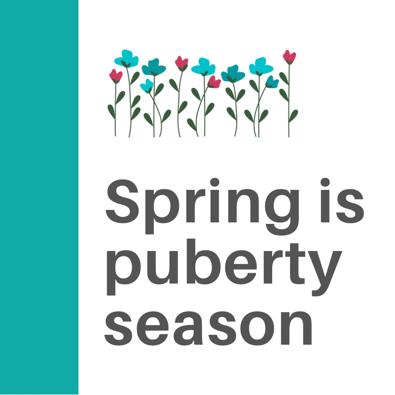 PubertyWonderYr's tweet photo. It’s puberty season, teachers! Are you ready to update your puberty lessons? Check out the 2021 edition of Puberty: The Wonder Years. Get your free lesson: https://t.co/wbtmbPzUpC
#pubertyeducation #healtheducation #healtheducator #healthcurriculum #teacherresources https://t.co/swMMEErj1i