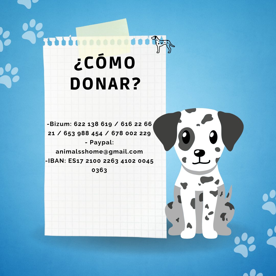 theanimalsshome's tweet photo. ¡ NECESITAMOS TU AYUDA ! 
Tenemos menos de 24 horas para recaudar los 15 000€ que debemos o nuestros perros se quedan en la calle. 
Puedes donar en nuestra campaña de Gofundme: https://t.co/EoL1bzT6j4
O usando cualquiera de estas opciones⬇️ https://t.co/XQCmlhrzM8