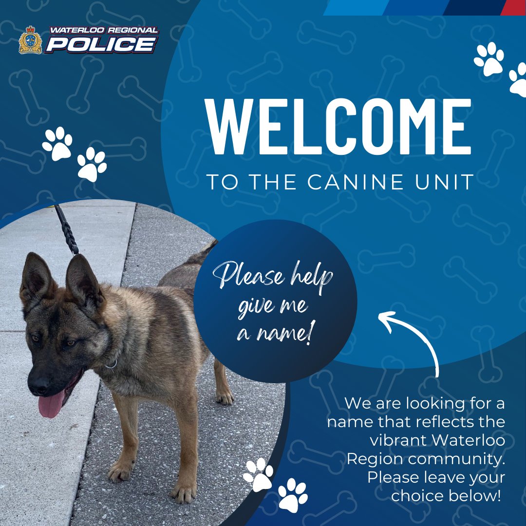 Waterloo Regional Police tweet media