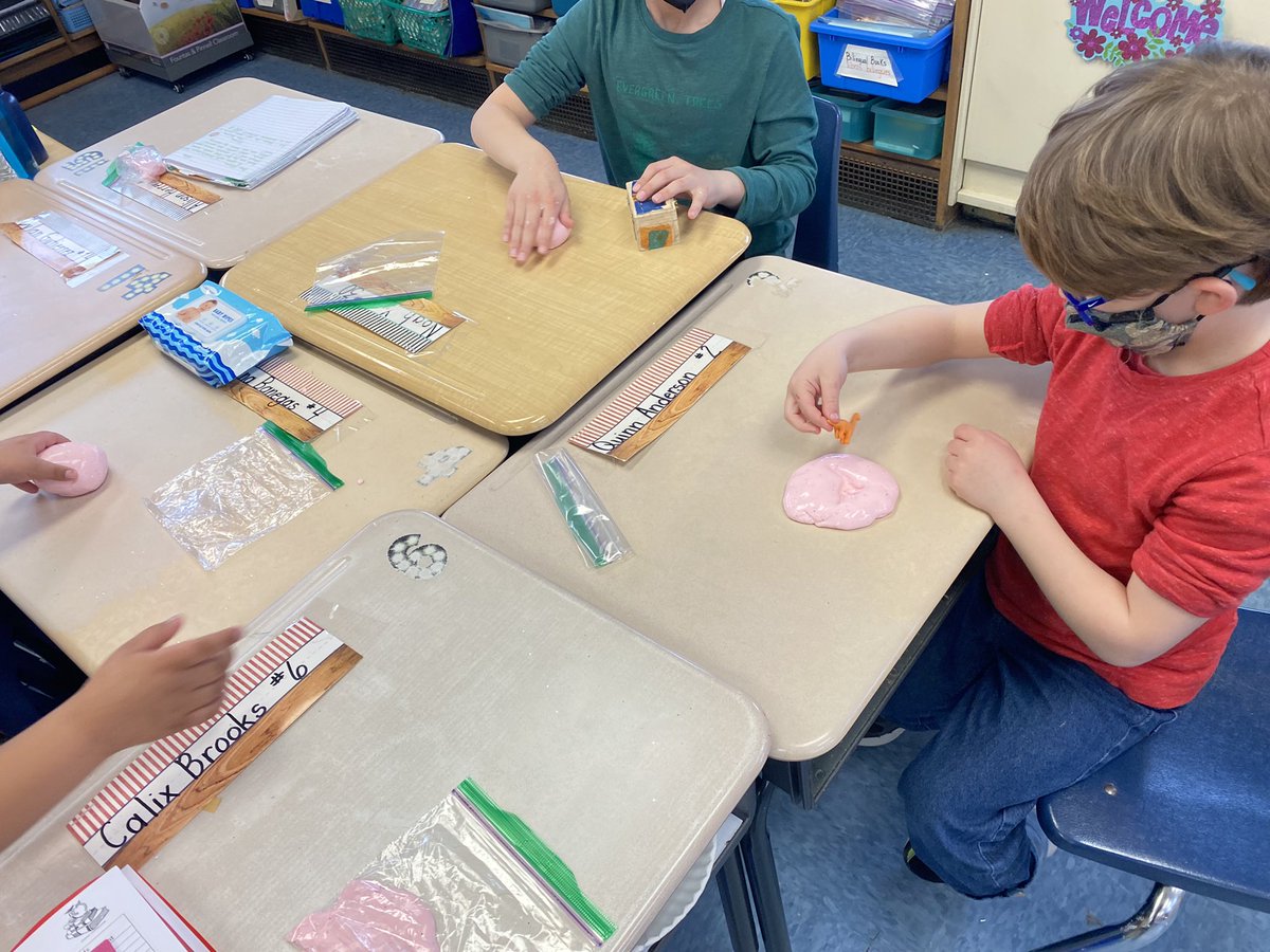 DeluccaJean's tweet image. STEAM is doubled in excitement with Dos Idiomas 🔬🔬📚 @BayShoreSchools @DualLangSchools @BrookAveSchool @FountasPinnell #alwaysgrowing @SraCorbett @JoeFlick5