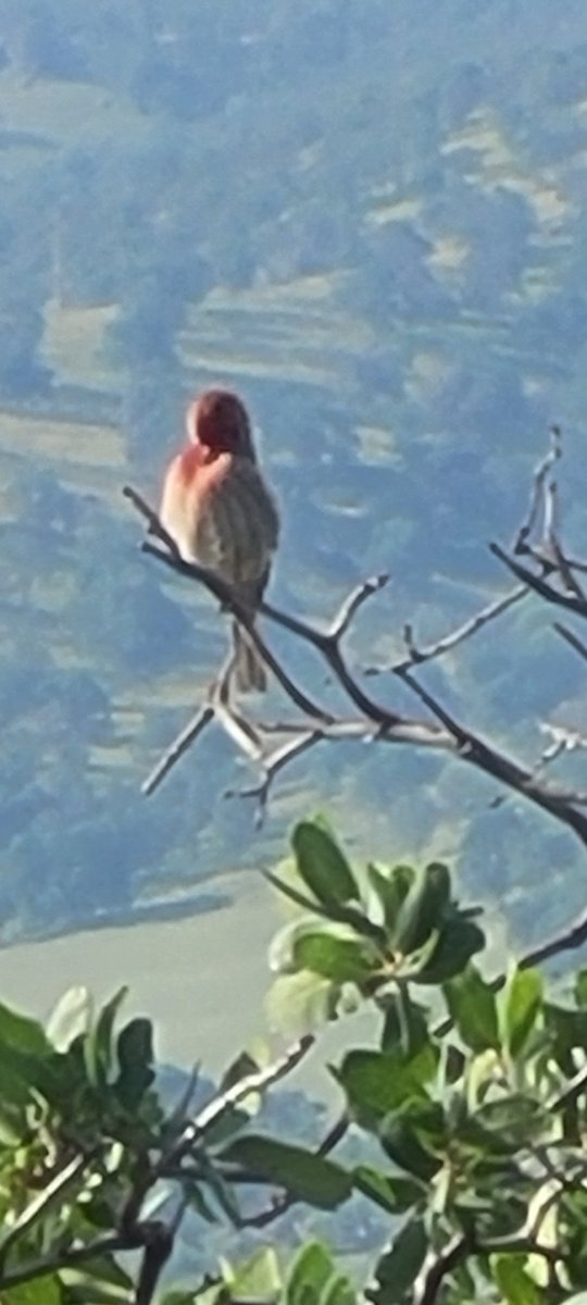 philrice2001's tweet photo. Nice visitor at the property https://t.co/TmvP8YMdBV
