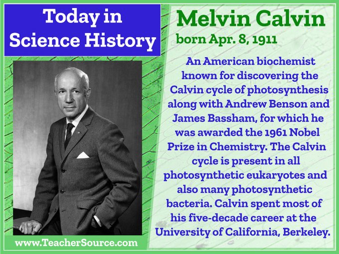 Melvin Calvin was born on April 8, 1911. An American biochemist known for discovering the Calvin cycle of photosynthesis along with Andrew Benson and James Bassham, for which he was awarded the 1961 Nobel Prize in Chemistry. The Calvin cycle is present in all photosynthetic eukaryotes and also many photosynthetic bacteria. Calvin spent most of his five-decade career at the University of California, Berkeley.