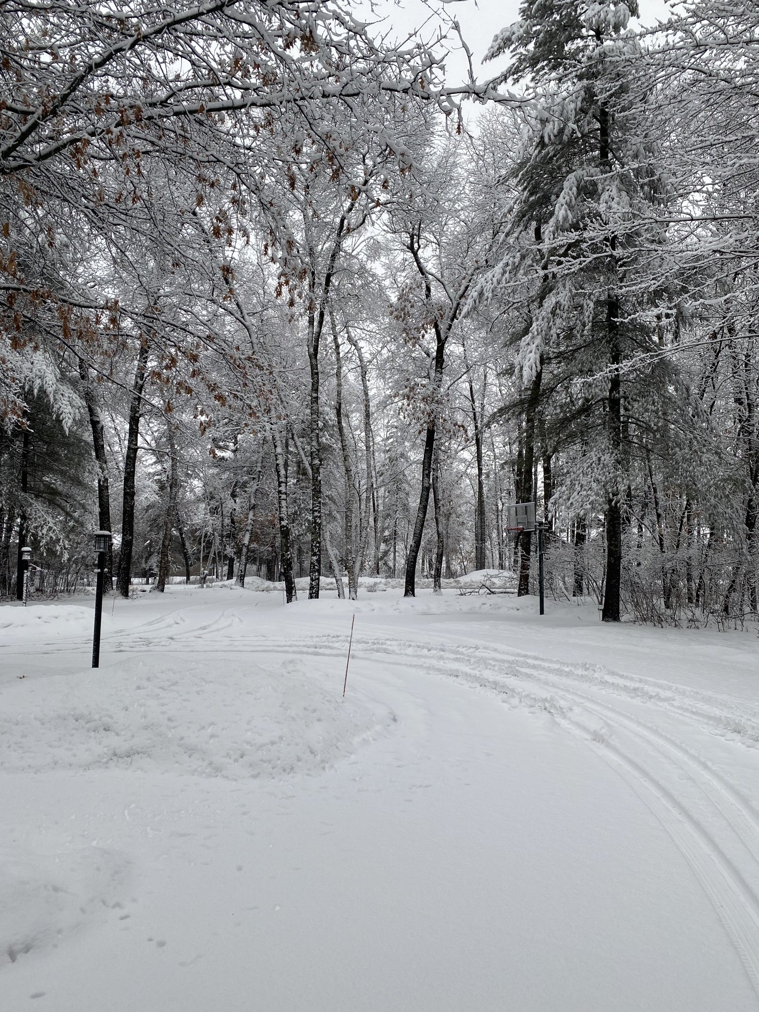 Tyler Glynn on Twitter "Tell someone to stop shaking the snow globe in
