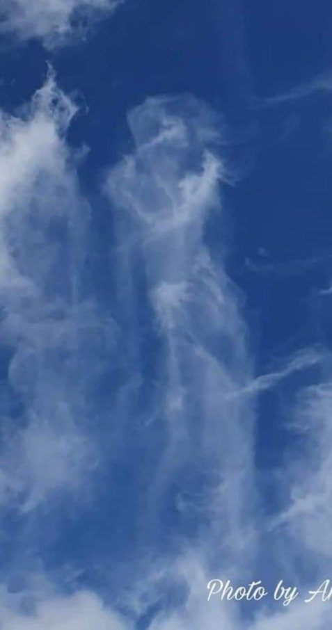 Annkat101's tweet photo. Can you see her?
#clouds #cloudsky #goddesses #nature #beautiful #photo #byme https://t.co/ZCRIo6u8Gi