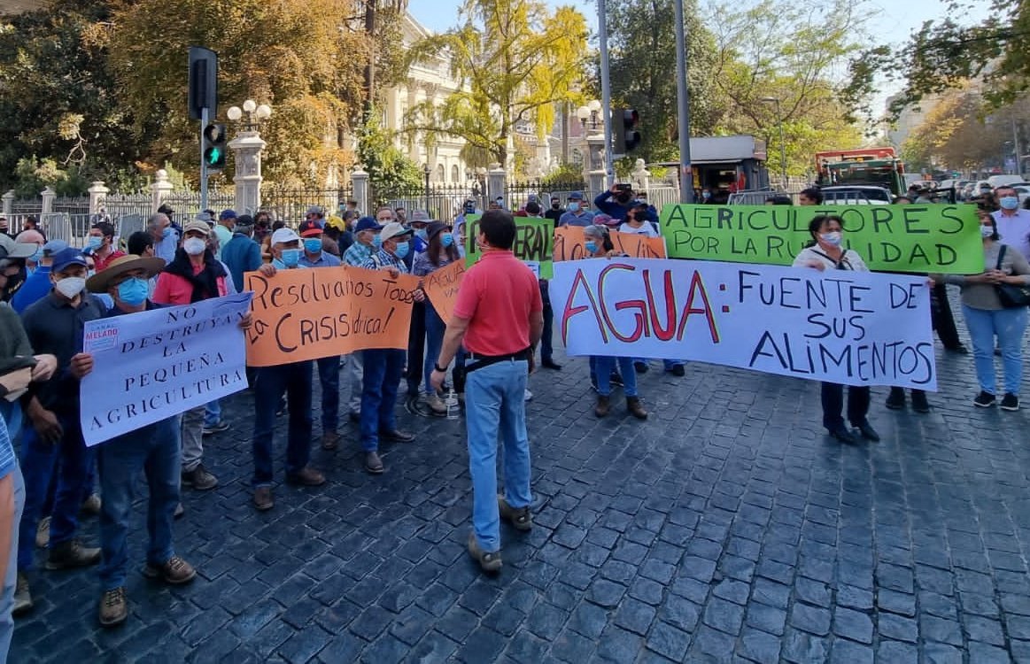 Una manifestación pacífica frente al ex Congreso busca que se escuche la voz del campo chileno. ¡Porque la #NuevaConstitución ES DE TODOS! Necesitamos una Carta Magna que permita producir alimento, cuide los recursos y proteja la seguridad alimentaria. 🇨🇱🌾
<a href="/convencioncl/">Chile Convención</a>
