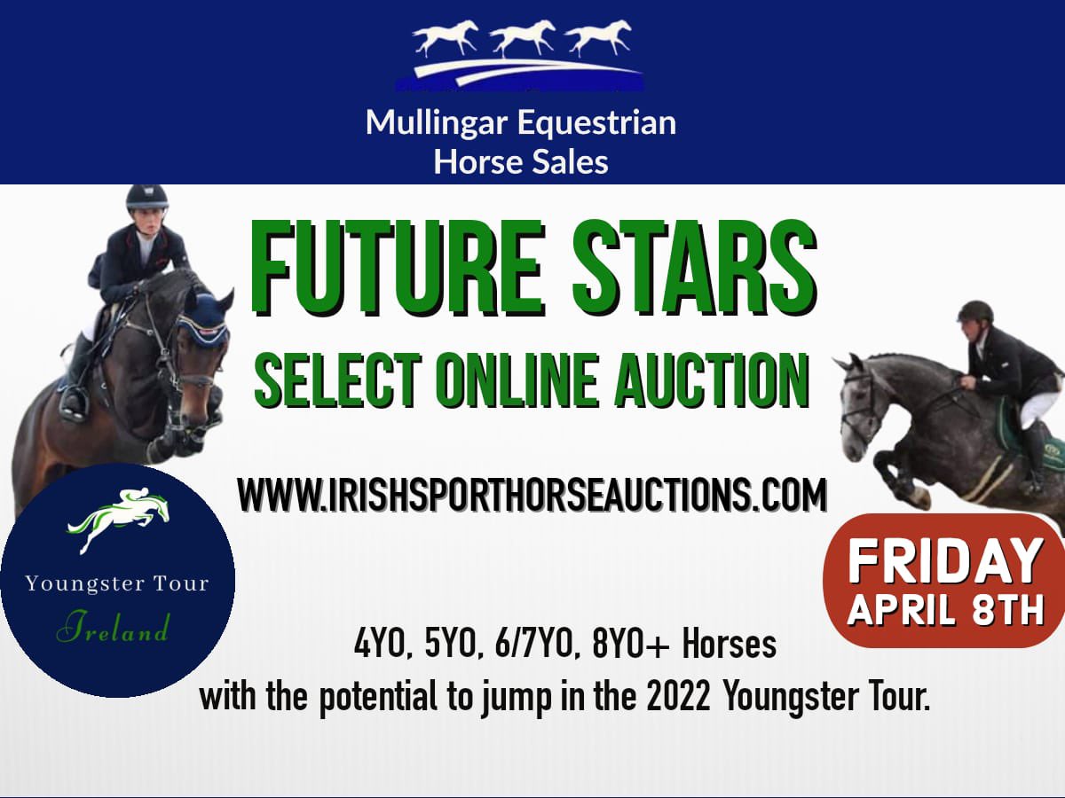 An exciting auction of Future Stars. 
Go to :-www.Irishsportauctions.com

For catalogue &amp; to bid. 
Bidding is online only, horses can be seen &amp; examined from 12pm Friday. 
Videos, Vet Certs etc available online