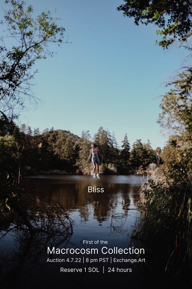 evan_galeano's tweet photo. "Bliss" Auction begins tomorrow at 8pm on @exchgART  

Collector of my previous piece was @BigBrainGallery...
I wonder who gets this one... 👀 https://t.co/x1MIPCpNZ1